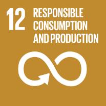 SDG 12 - Responsible Consumption and Production